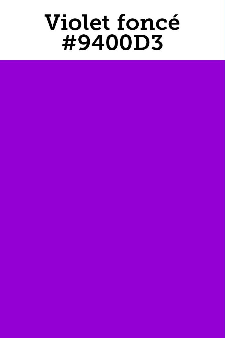 couleur violine profond