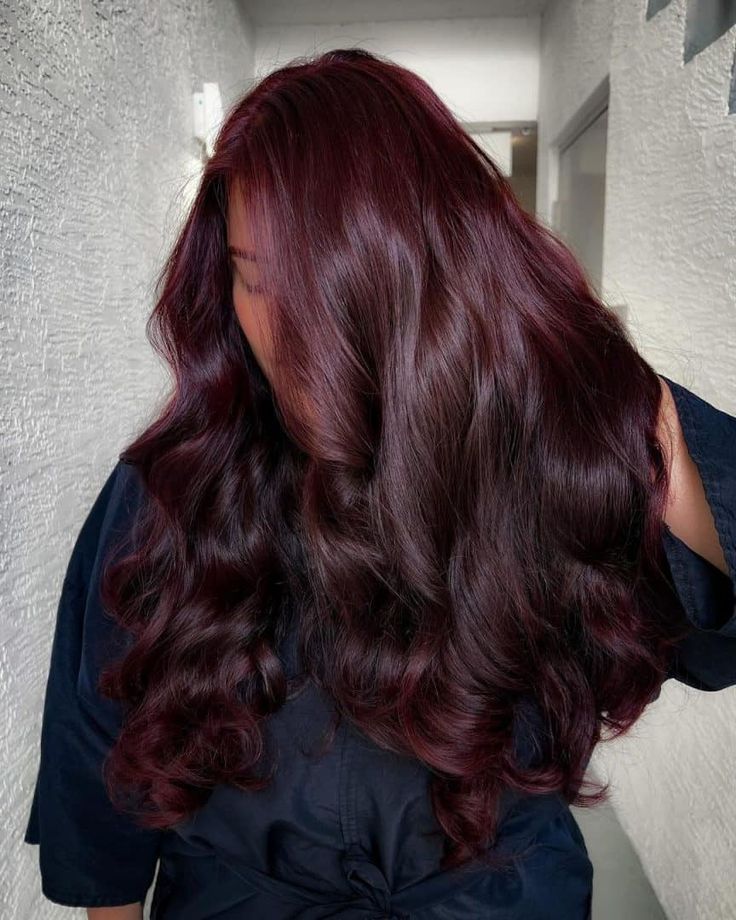 couleur violine sur cheveux noir