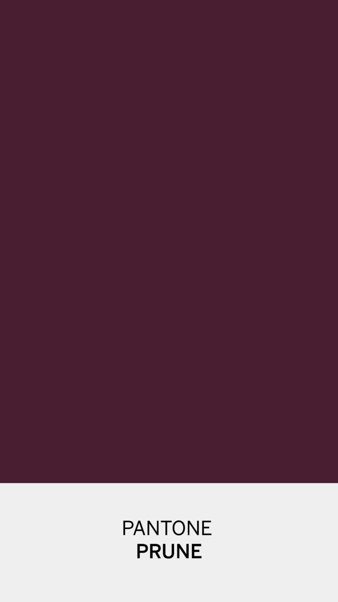 couleur violine profond