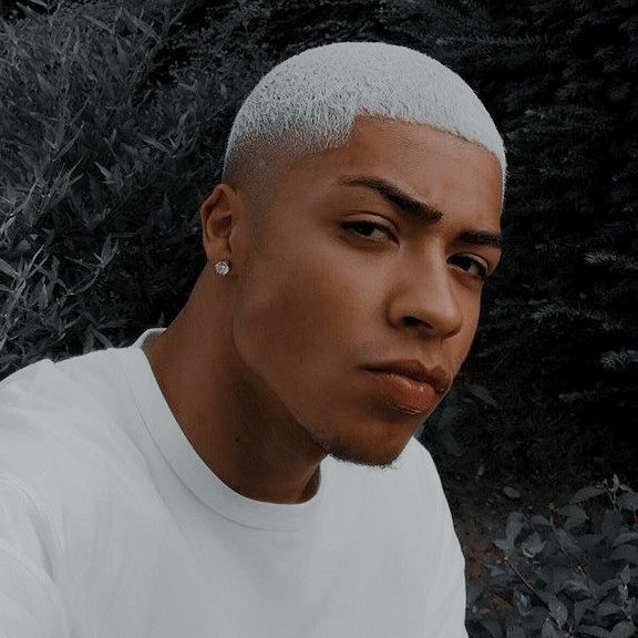 Modèle dégradé à blanc